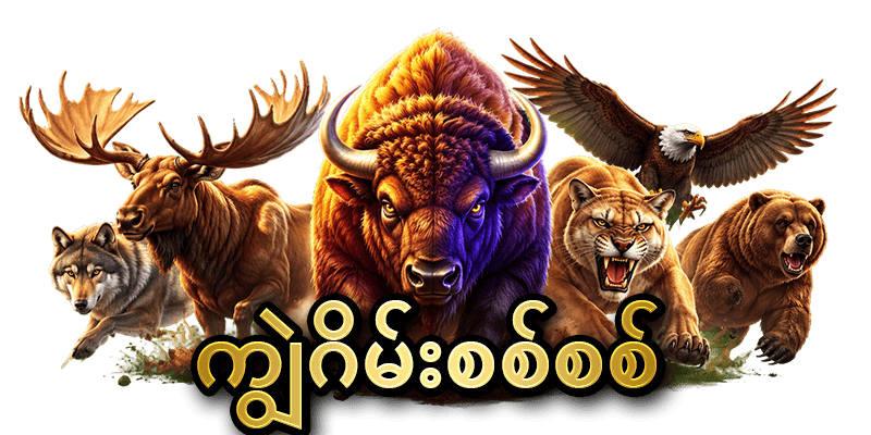 ကျွဲ ဂိမ်းစစ်စစ်